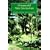 Ornamental Palm Horticulture