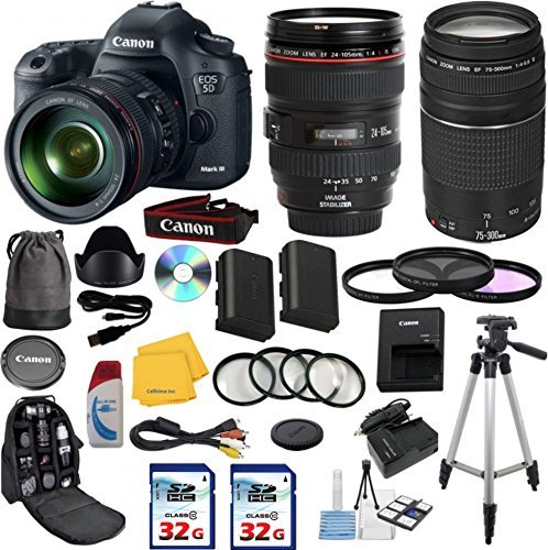 Canon EOS 5D Mark Photo