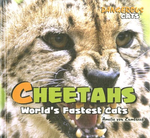 Cheetahs