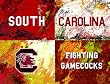 South Carolina Painting - Warhol South Carolina Logo