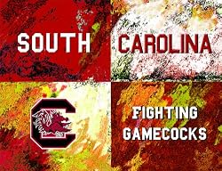 South Carolina Painting - Warhol South Carolina Logo