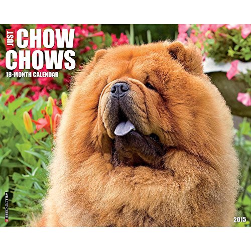 Chow Chows 2015 Wall Calendar