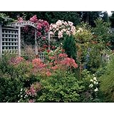  : Garden Arbor Jigsaw Puzzle 500pc