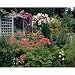 Search : Garden Arbor Jigsaw Puzzle 500pc