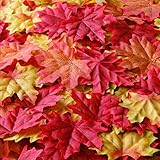 Bassion Package of Approximately 210 Assorted Mixed Fall Colored Silk Maple Leaves for Autumn Party or Weddings