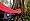 Navy / Red