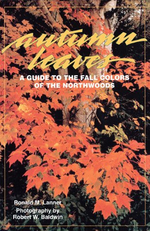 North America
