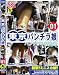 東京パンチラ娘01 [DVD]