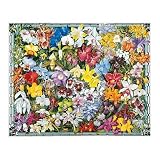 White Mountain Puzzles Orchids - B0009SQCH8