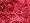 Winterberry