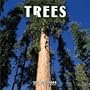 Trees 2004 Calendar