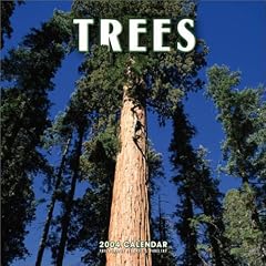 Trees Wall Calendar: 2004