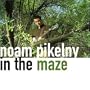 In the Maze