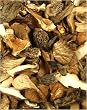 Premium Wild Mushroom Mix