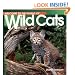 Wild Cats (Welcome to the World Series)