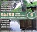 Cajun Early Recordings