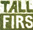 Tall Firs