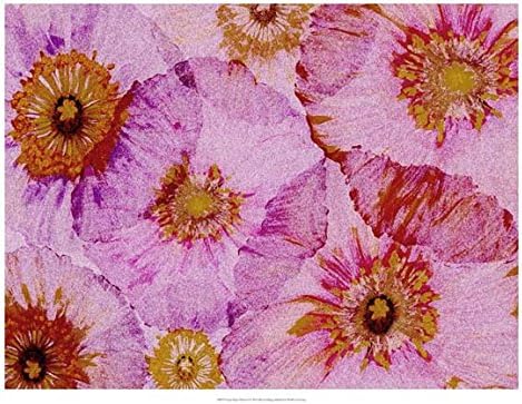 Crepe Paper Flowers I. Alicia Ludwig Art Print 20 x 26