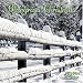 Click here to Compare Prices of Bluegrass Christmas