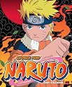Naruto 2009 Wall Calendar