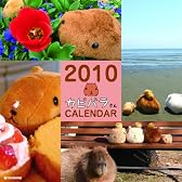 2010 カピバラさん 月めくりカレンダー 壁かけタイプ