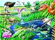 Animals of the Everglades (35 Piece Tray Puzzle) Animals of the Everglades (35 Piece Tray Puzzle)