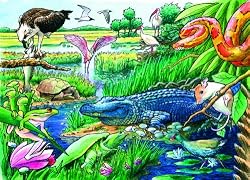 Animals of the Everglades (35 Piece Tray Puzzle)