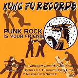 Punk Rock Is Your Friend