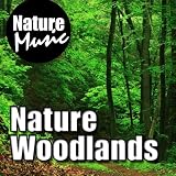 Twinkle in Your Eye - Relaxing Woodland Birds