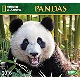 Pandas National Geographic 2016 Wall Calendar