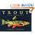 Trout: An Illustrated History
