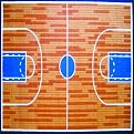Basketball Court Rug Collection