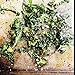 River Cottage Love Your Leftovers: Recipes for the resourceful cook