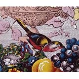 The Birds of America, by John James Audubon (Print On Demand)