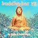 Buddha Bar Series