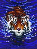 Schwimmender Tiger - Malen nach Zahlen Classic-Collection - 