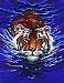 Spielwaren : Schwimmender Tiger - Malen nach Zahlen Classic-Collection
