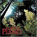 Forest Piano