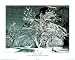 Ansel Adams (Snow in Apple Orchard, Yosemite, California) Unframed Art Poster Print (Framing and Wood-Mounting also available) - 16