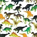 Prehistoric Dinosaurs Mega Value Pack 48ct