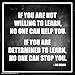 Culturenik Hilary Hinton Ziglar Determined to Learn Inspirational Motivational Speaker Author Celebrity Quote Classroom Print (Unframed 12x12 Poster)