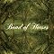 Band of Horses Foto 2