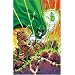 Day of Vengeance (Countdown to Infinite Crisis)