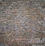 wall paper wall paper
