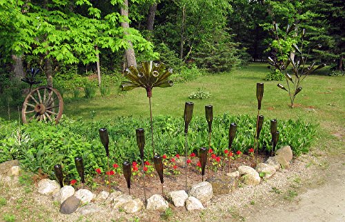 12 - Bottle Tree Saplings w/12 bottles