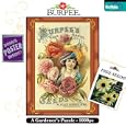 Buffalo Games Burpee: 1890 Catalog Cover