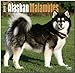 Alaskan Malamutes 2015 Calendar