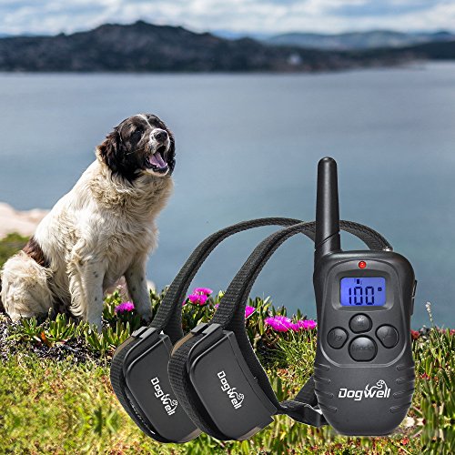 dogwell shock collar