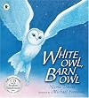 White Owl, Barn Owl