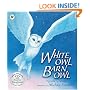White Owl, Barn Owl PB with CD